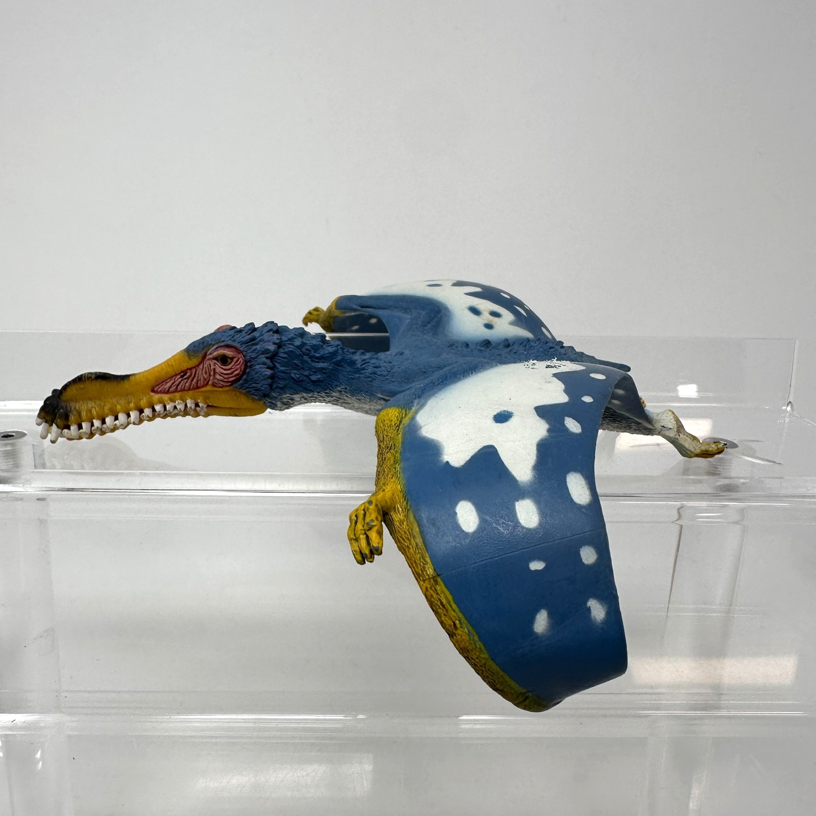 Schleich Anhanguera Figure Blue Prehistoric Dinosaur Animal Figurine 5.5″ 2014