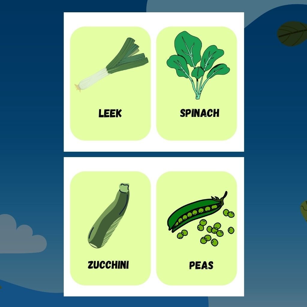 Printable Flashcard Sets for Kids | Educational Learning Bundle