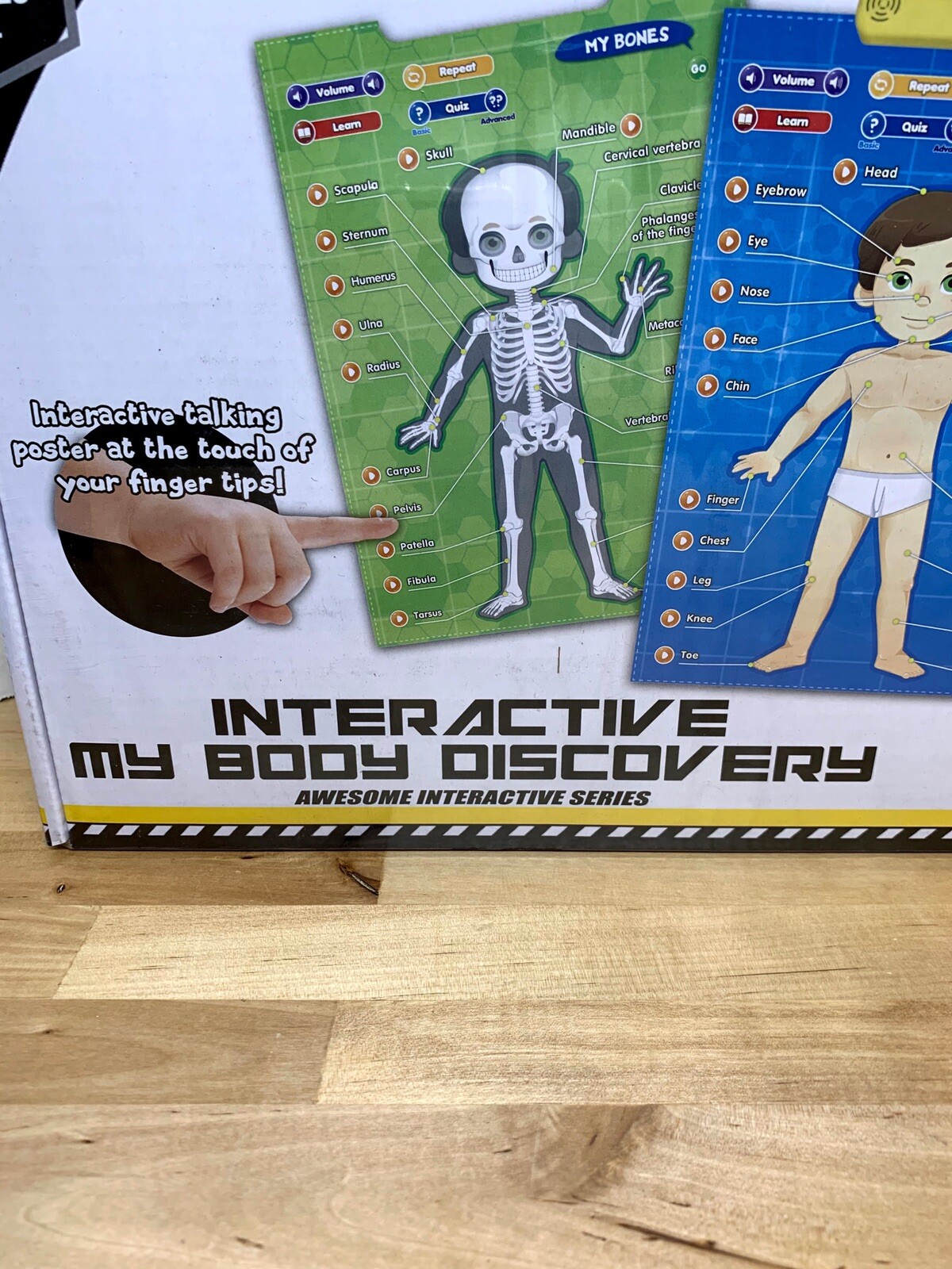 BEST LEARNING i-Poster My Body