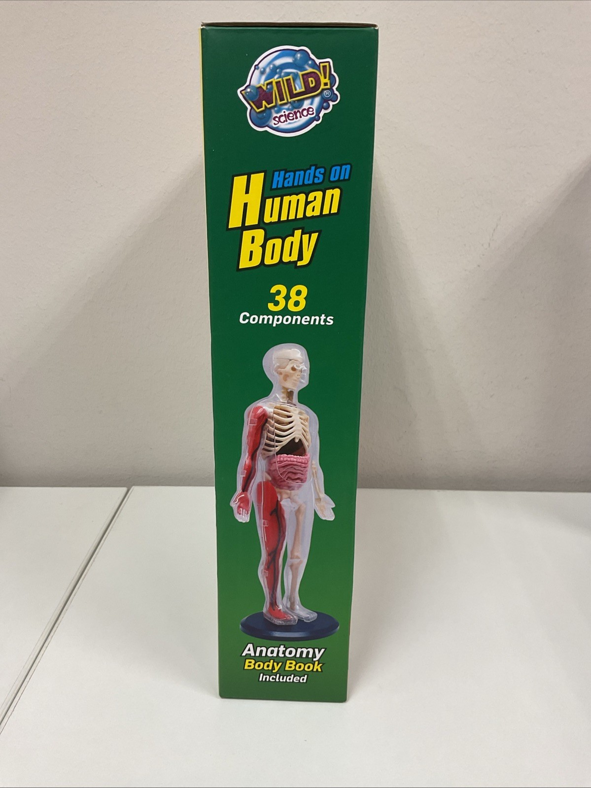 Wild! Science Hands On Human Body Anatomy Learning Activity Kit New & Sealed G35