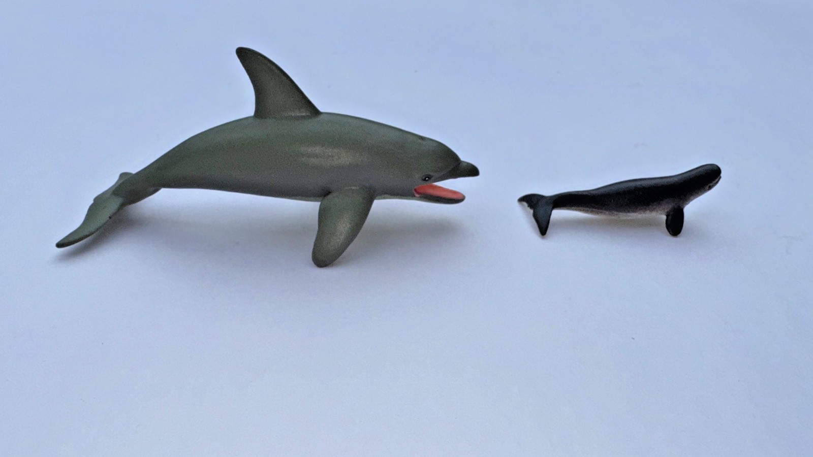 Ocean Animal Figure Lot – 22 Sharks + Dolphin + Beluga Whale– Toy Set