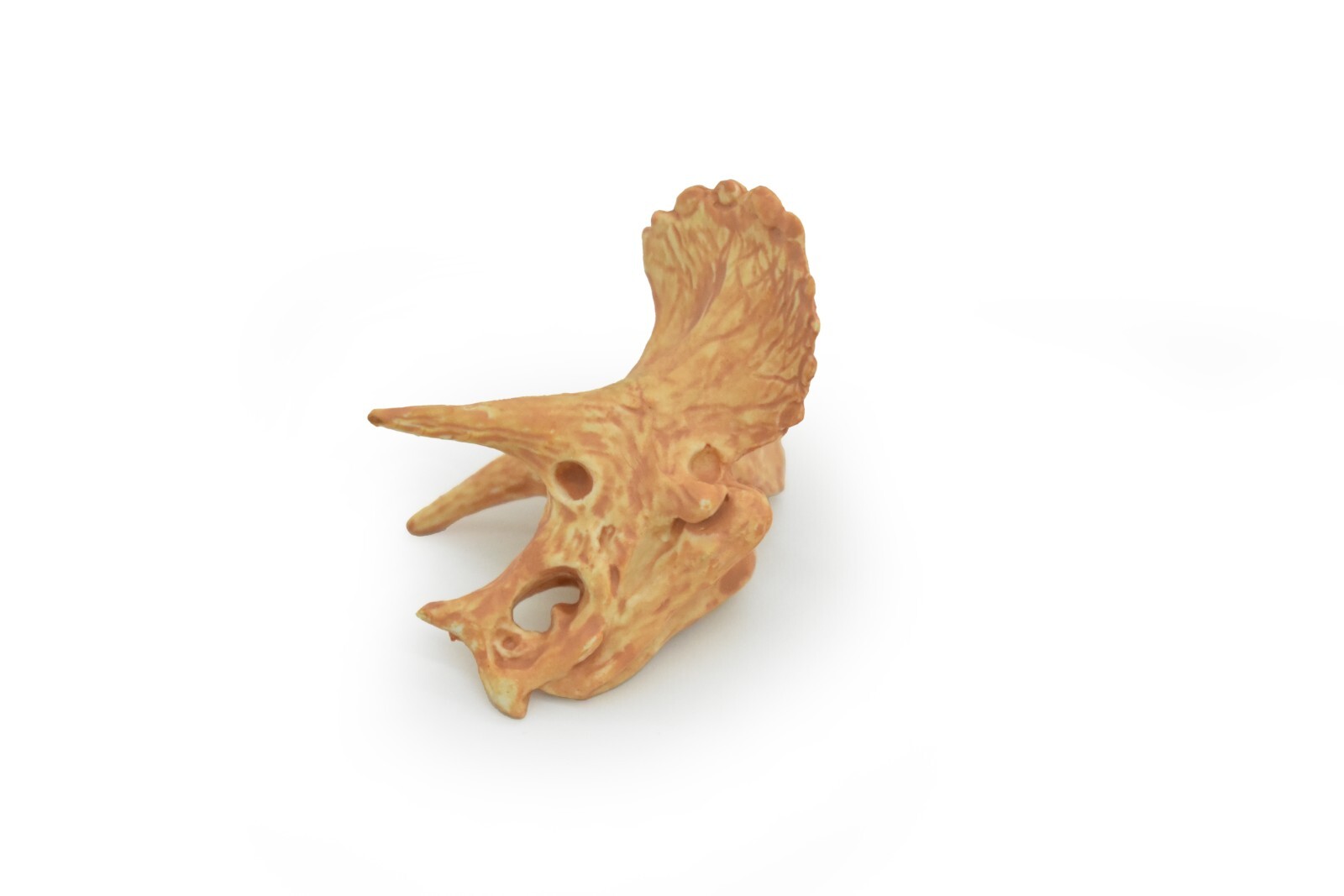 Triceratops, Dinosaur Skull Fossil, Educational, Realistic Rubber Toy Model 1.5″