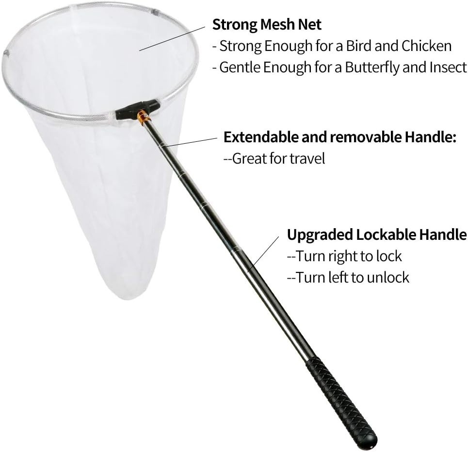 Durable Multi-Color Insect & Butterfly Net – 12″ Ring, 59″ Extendable Handle