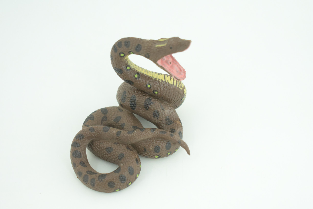 Python Life Cycle, 4 Piece Toy Set, Realistic Rubber Model, 3 1/2″ CH990 BB215