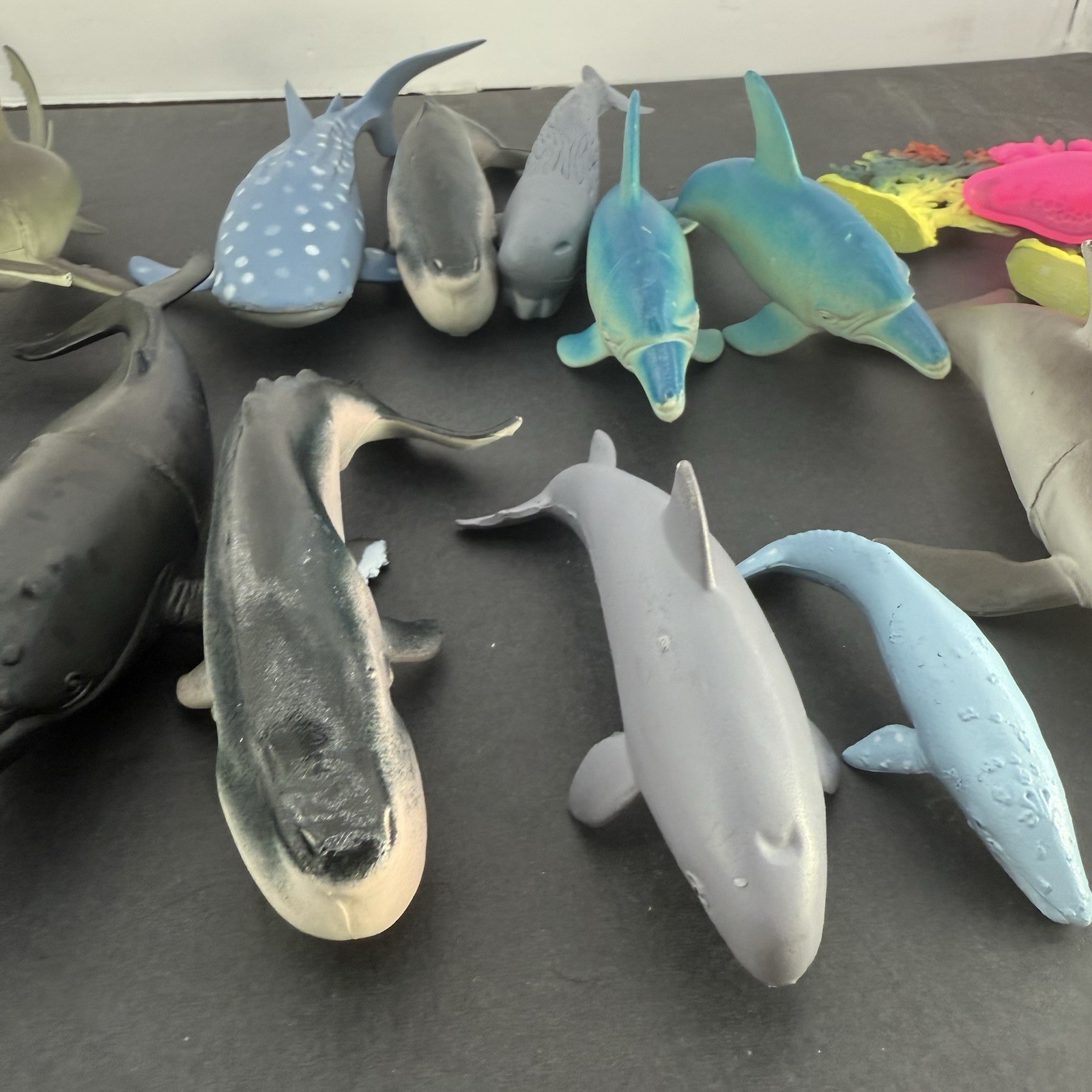 Animal Planet Ocean Collection 13 & More Pieces Sharks & More Toys R Us