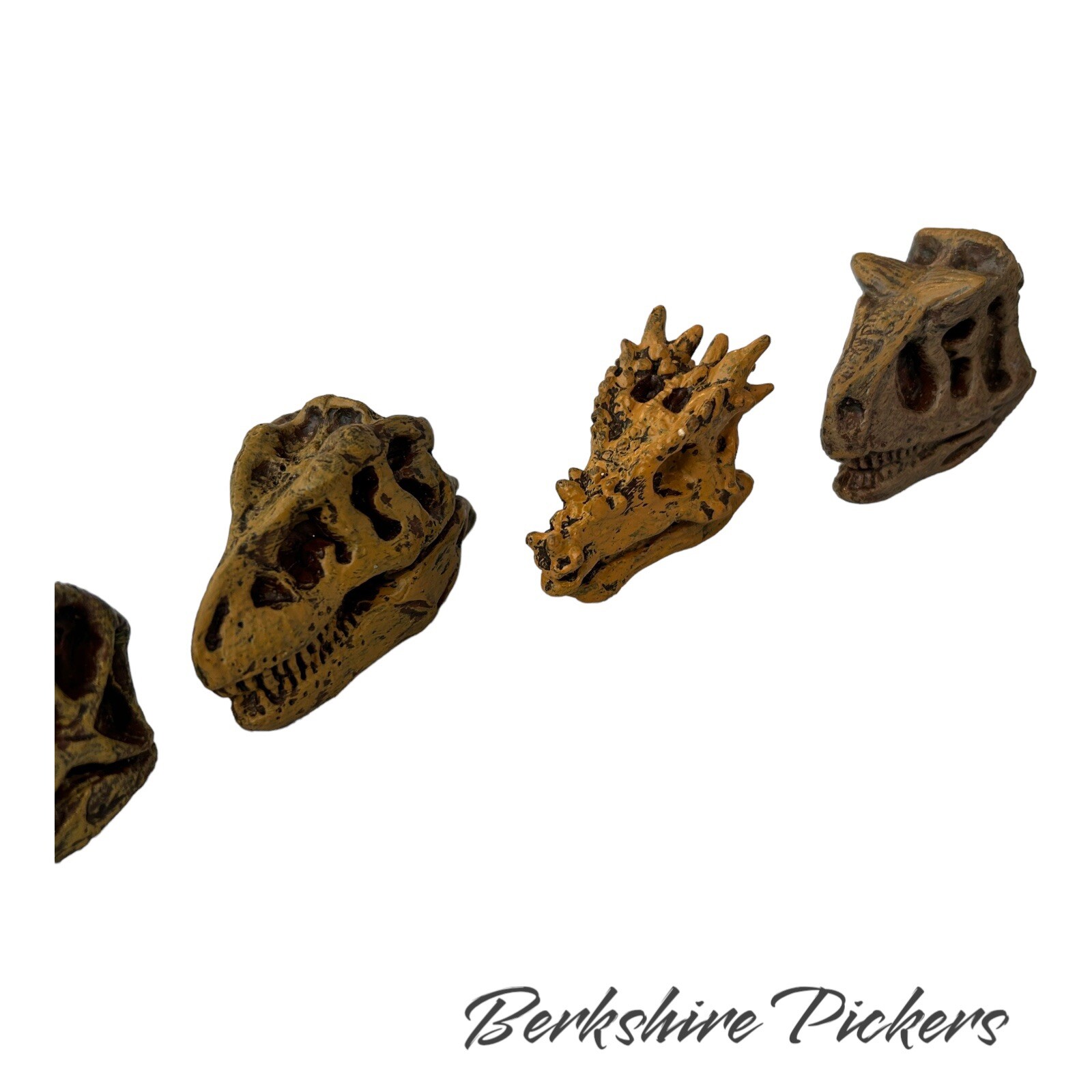 Safari Ltd Dinosaur Skull MINI Replica Lot Of 9