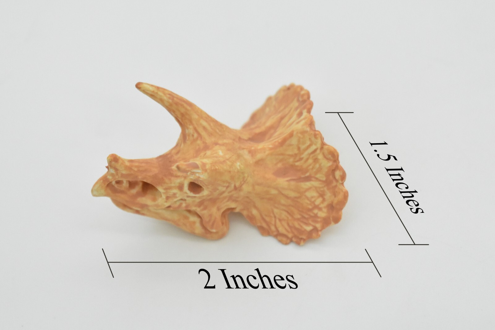 Triceratops, Dinosaur Skull Fossil, Educational, Realistic Rubber Toy Model 1.5″