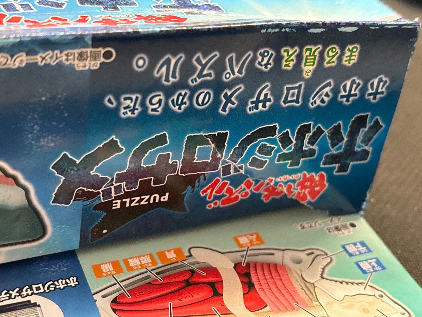 MegaHouse Dissection Puzzle Great White Shark Japan Damaged Box US Seller