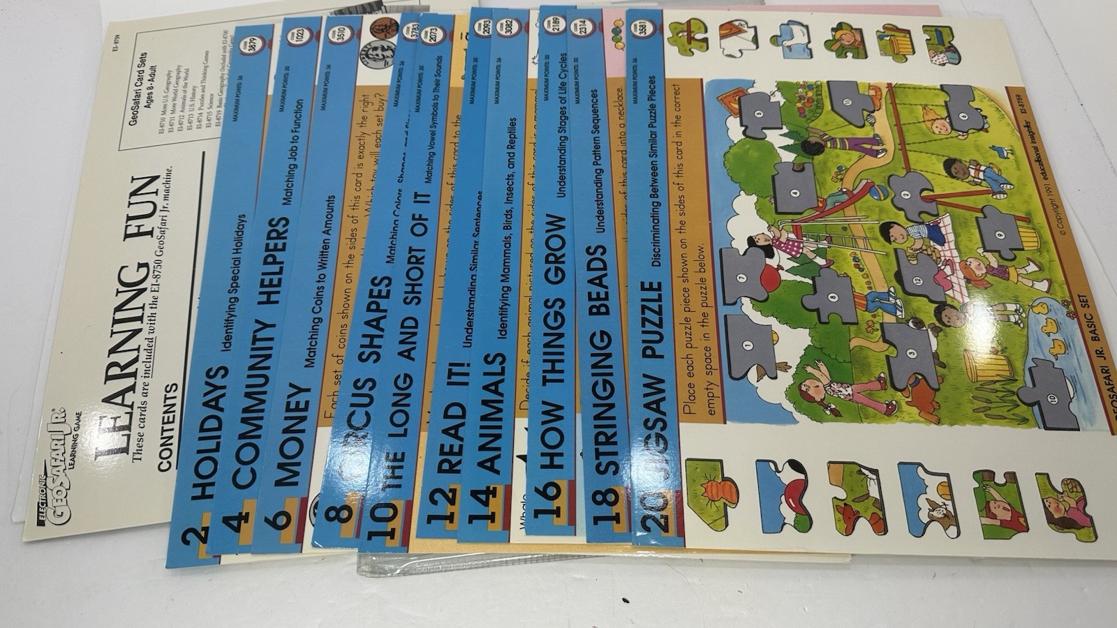 Geosafari Cards Learning Fun and Make Your Own Lesson Cards