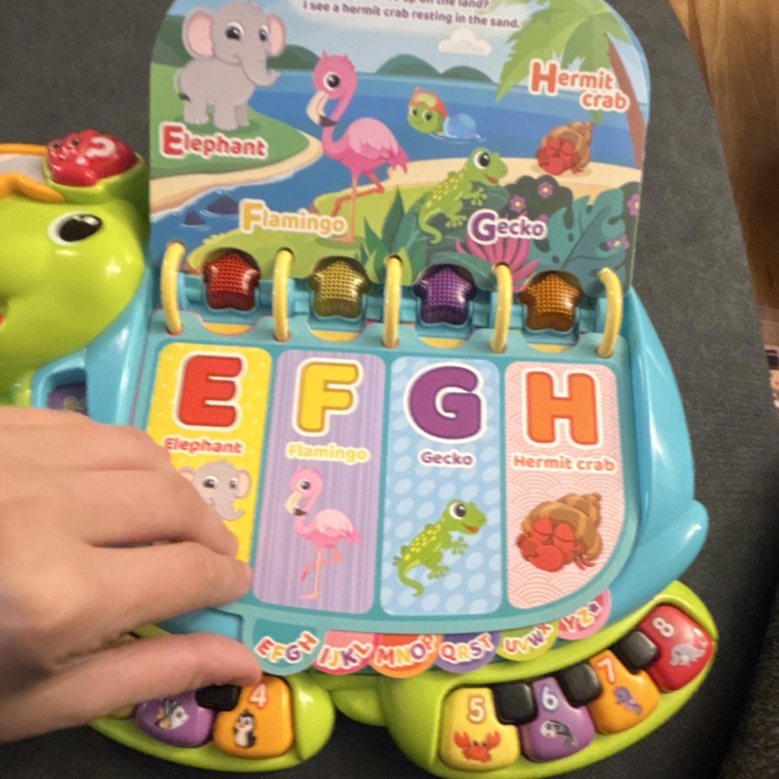 VTech Touch & Teach Sea Turtle Electronic Learning Book, Ages 1-4 Years