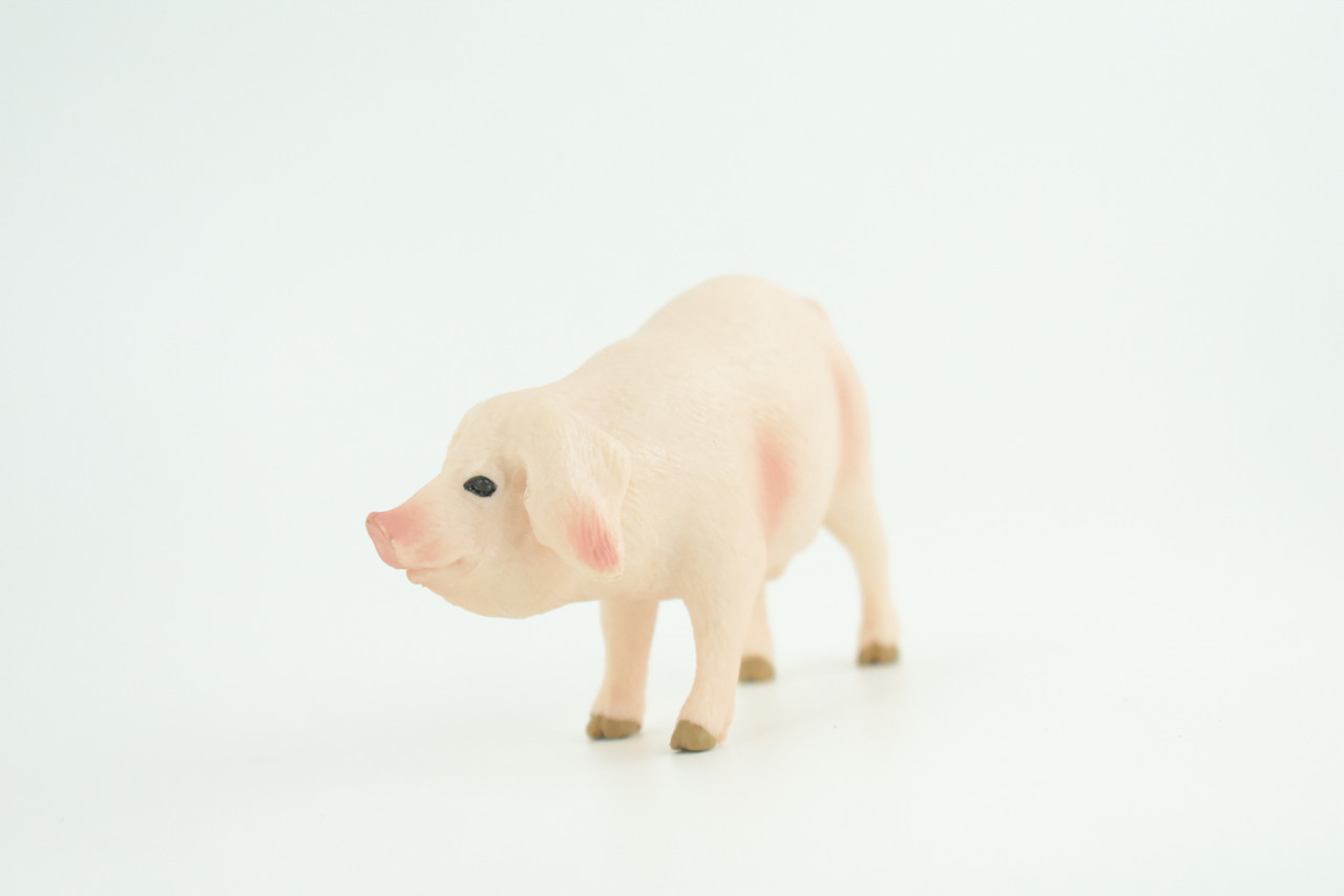 Toy Pig, Farm Animal, Realistic Hand Painted Rubber Model, 4 Inches CH975 BB213
