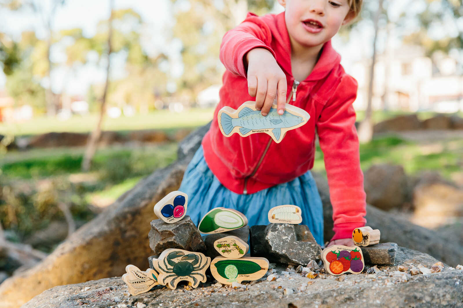 Australian INDIGENOUS Aboriginal BUSH TUCKER Traditional Foods Wooden TOY