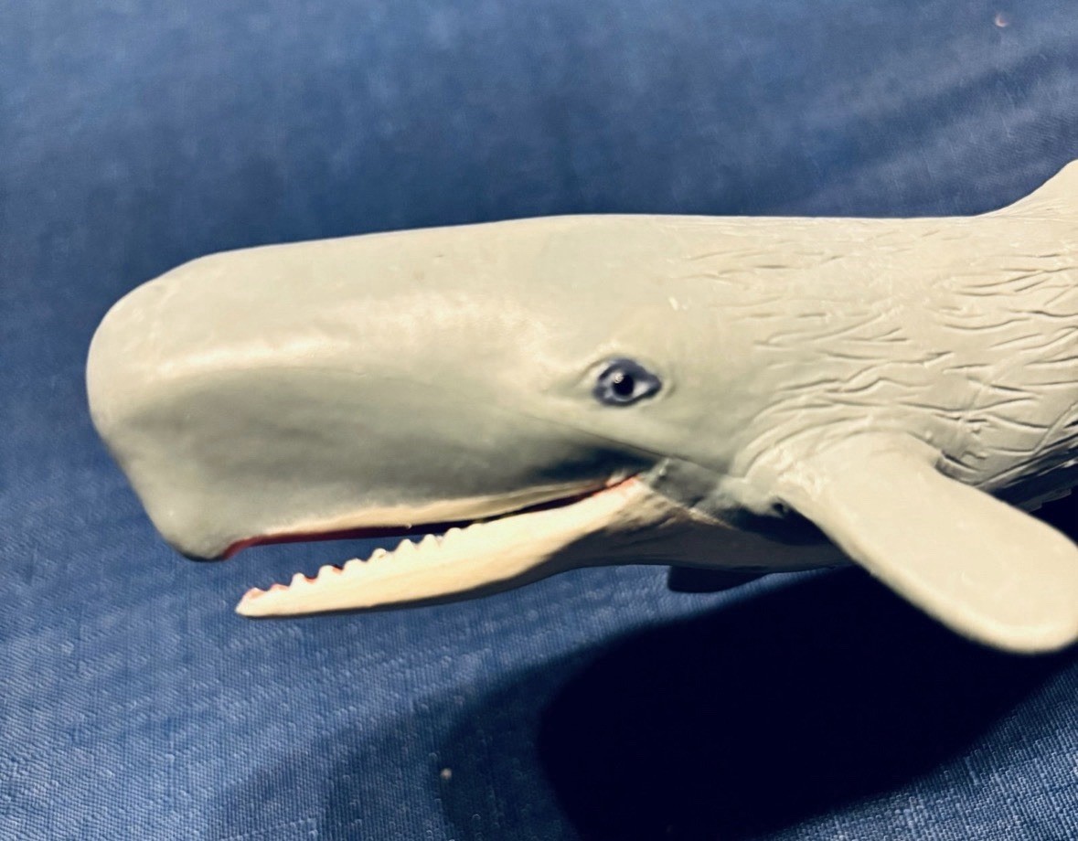 Safari Ltd Sperm Whale Plastic Figurine 1998 Miami FL USA Made in China toy