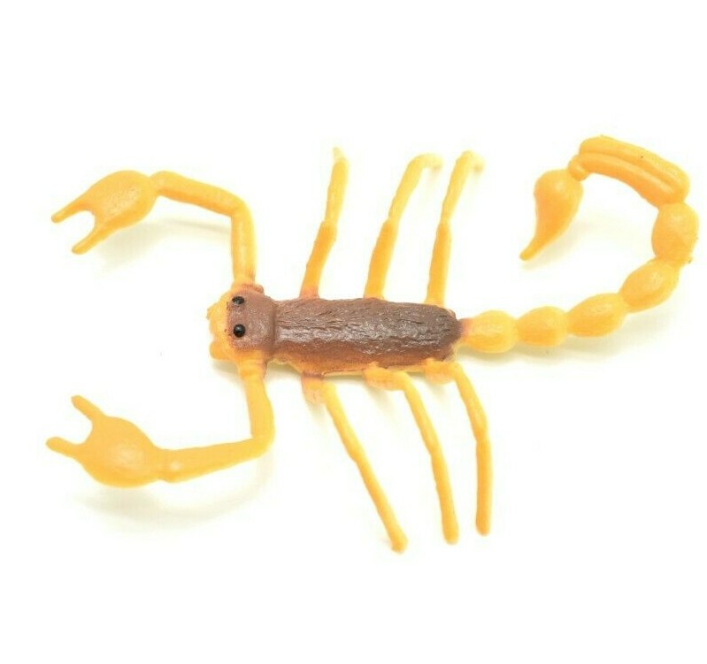 Scorpion Orange Black Plastic 2.5 inches Length – F1055 B190