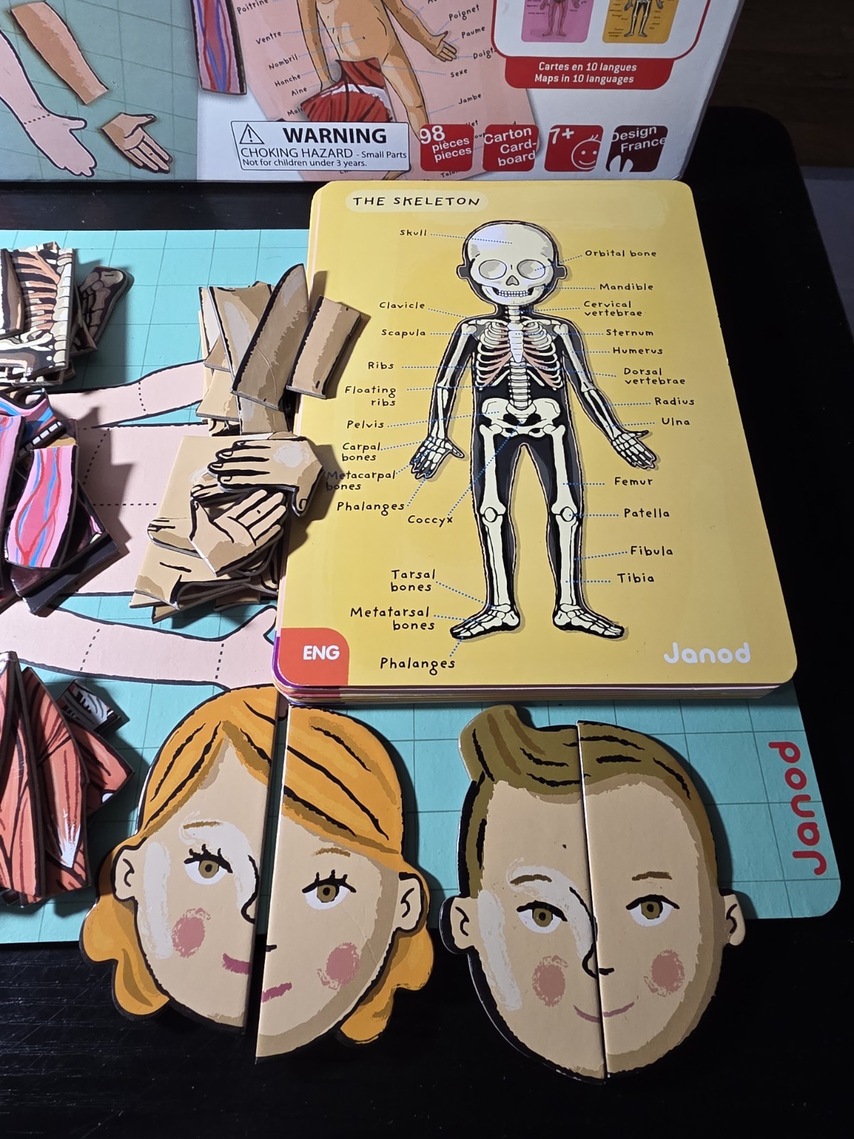 💯Complete-Janod Magnet Human Body Educational Game 11 Languages Skeletal Muscle
