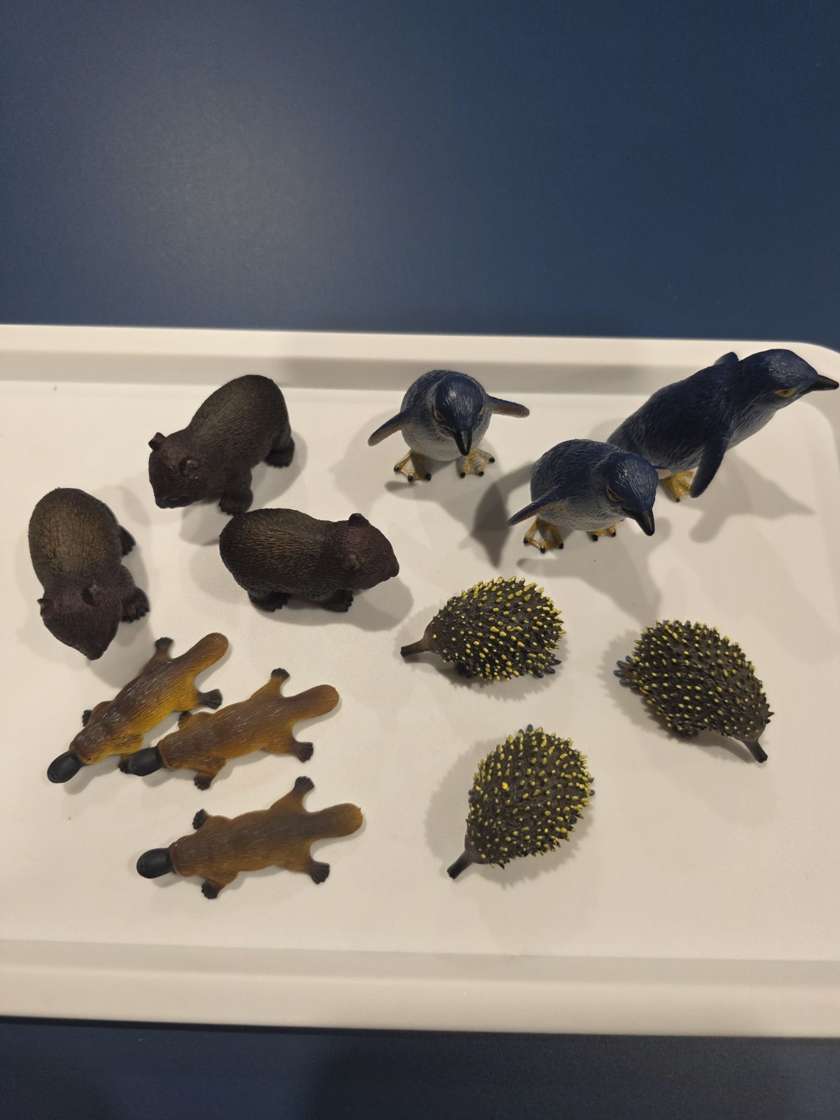 Australia Animal Toy Figures Penguin Wombat Echidna Platypus Science Nature