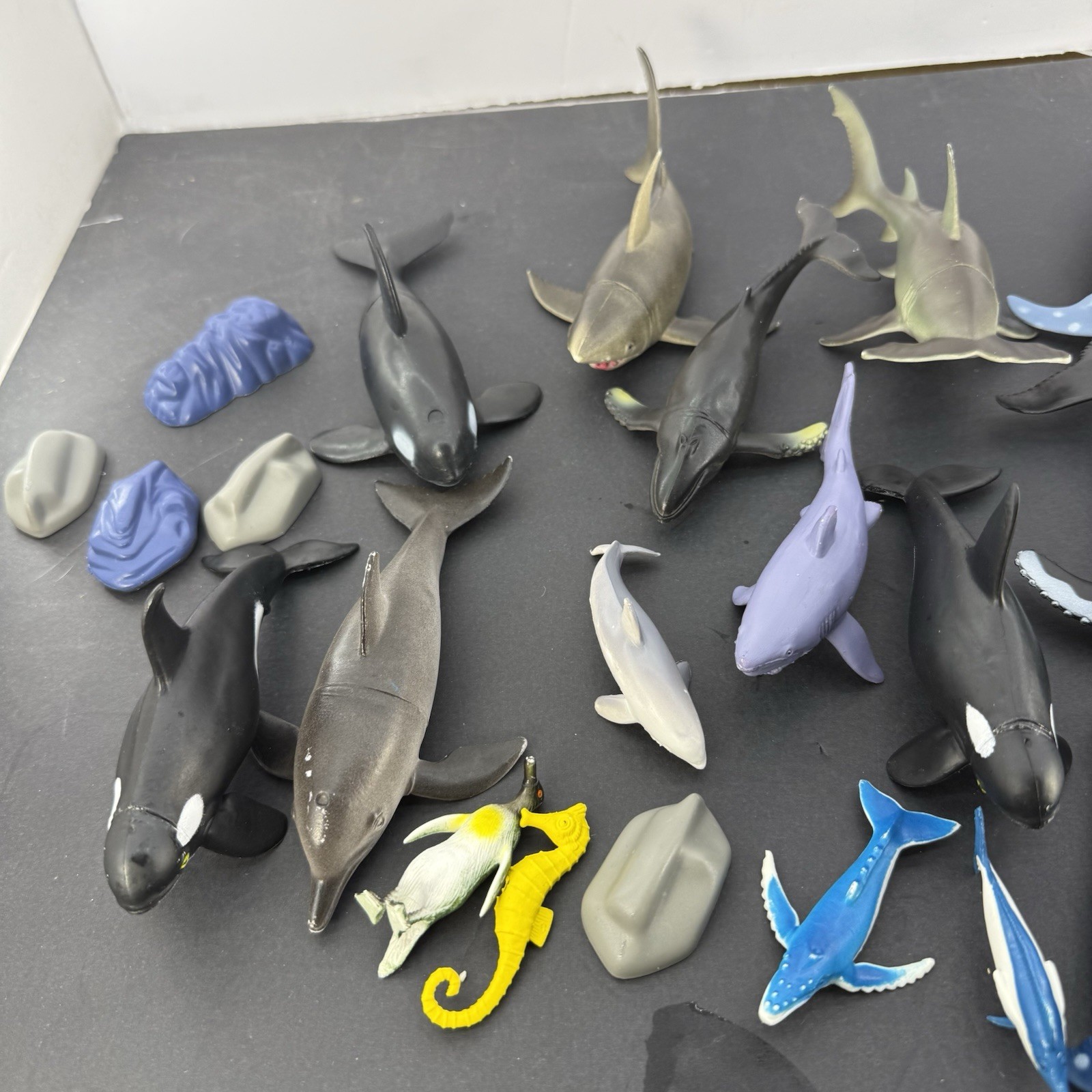 Animal Planet Ocean Collection 13 & More Pieces Sharks & More Toys R Us