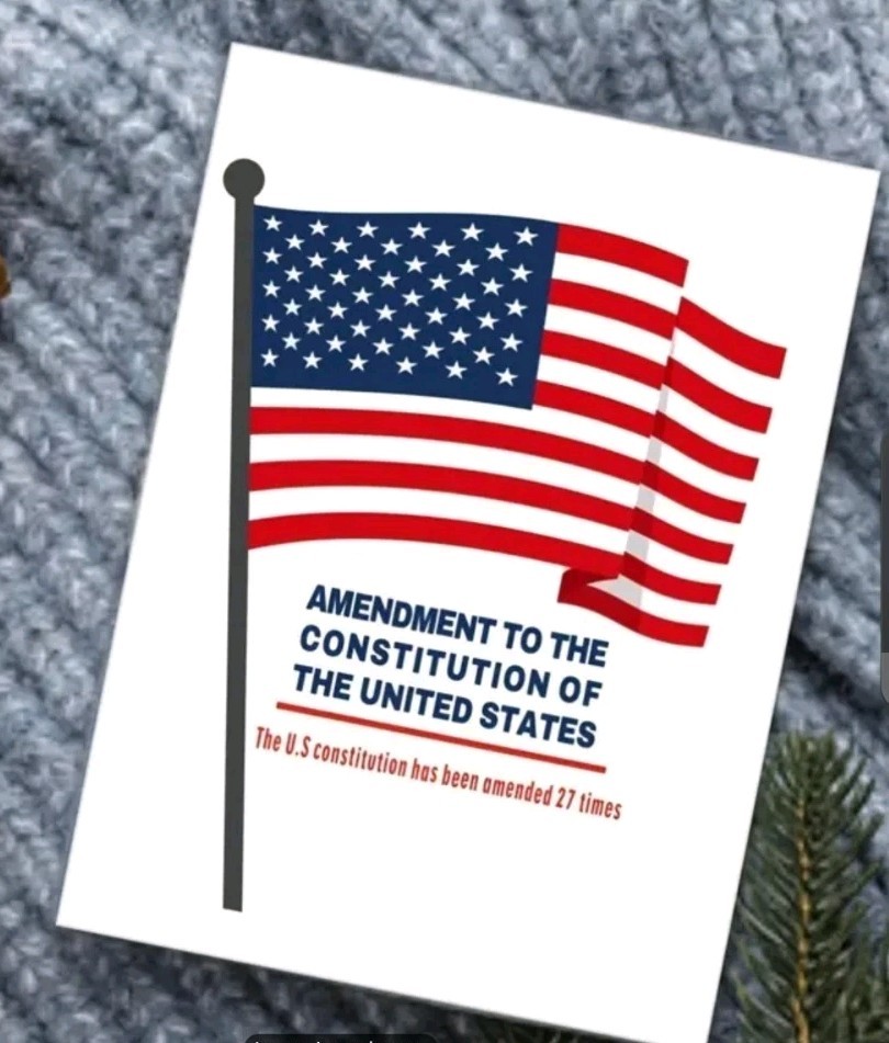 United STATES Constitution Amendments Study Flashcards Learning Aids CIVICS