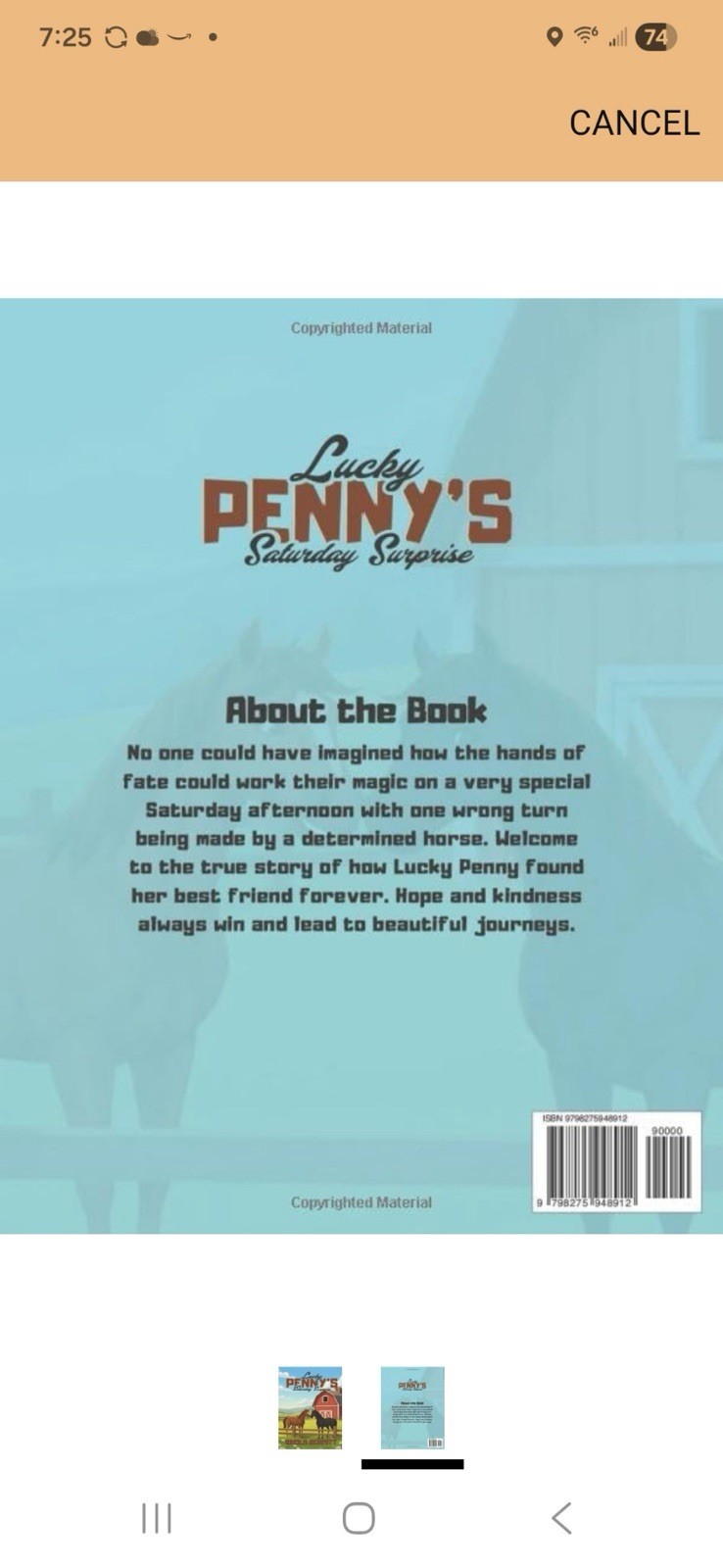 Lucky Penny’s Saturday Surprise Picture Book By Sheila Schmitt