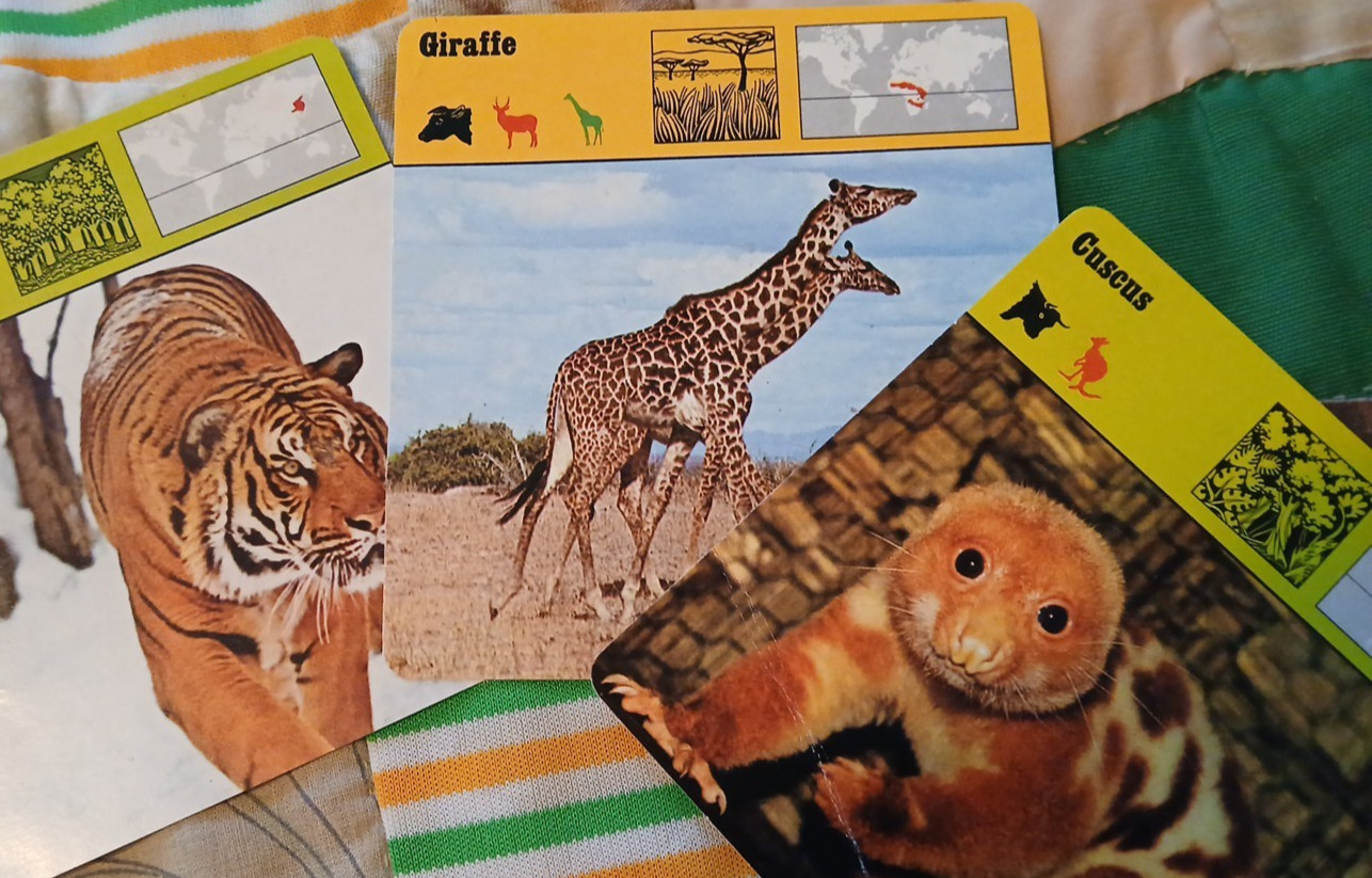 Animal Fact Cards CUSCUS/GIRAFFE/TIGER Ed Rencontre-SA Lausanne Flash Cards 1978