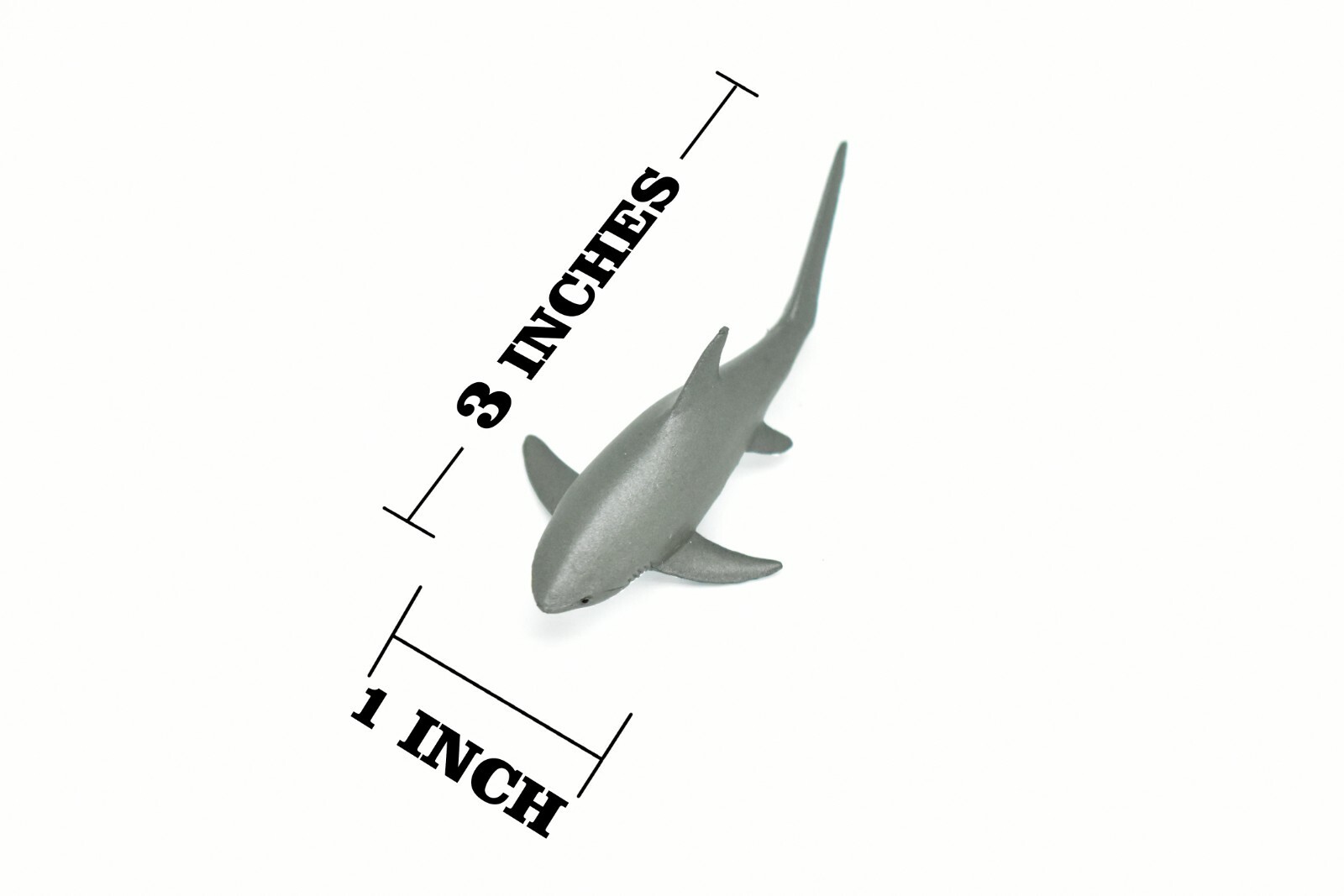 Thresher Shark, Very Nice Plastic Replica 3″ – F1012 B118