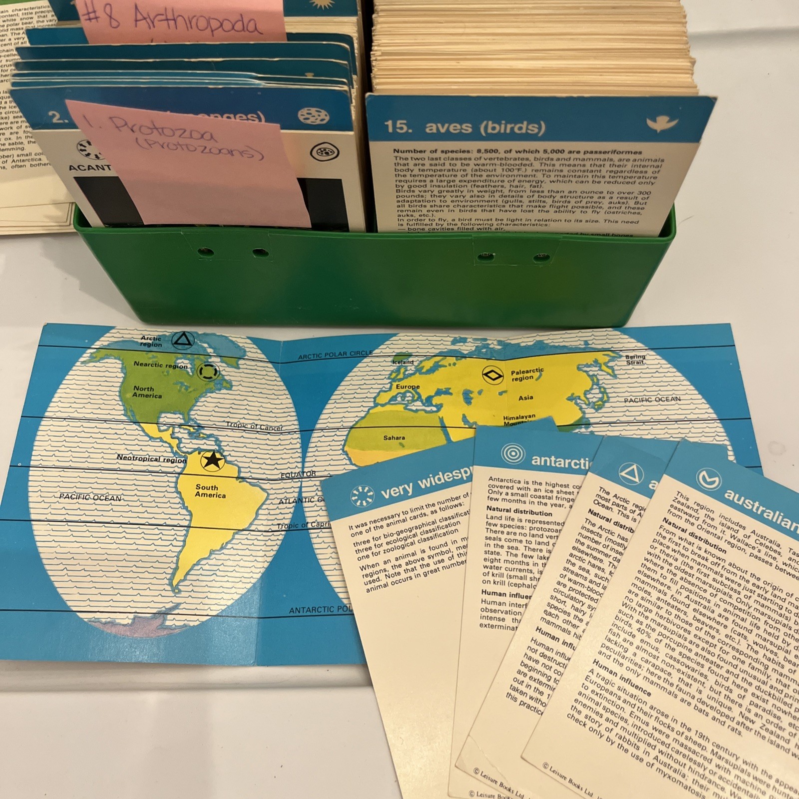 VINTAGE 1970s ILLUSTRATED WILDLIFE TREASURY Box With Animal Info Cards Learning