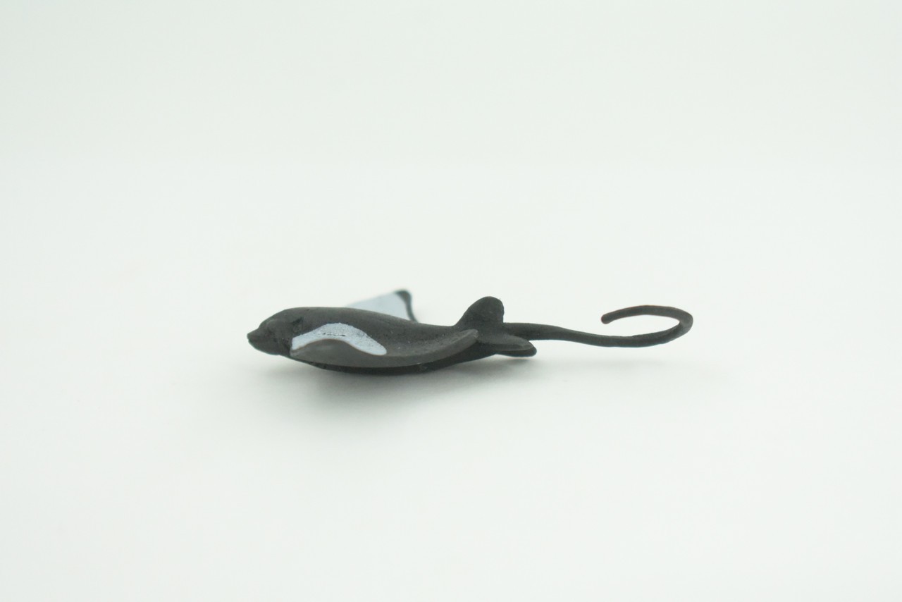 Toy California Bat Ray, Realistic, Model, Kids, Gift, 2 1/2 Inches CWG55 B197