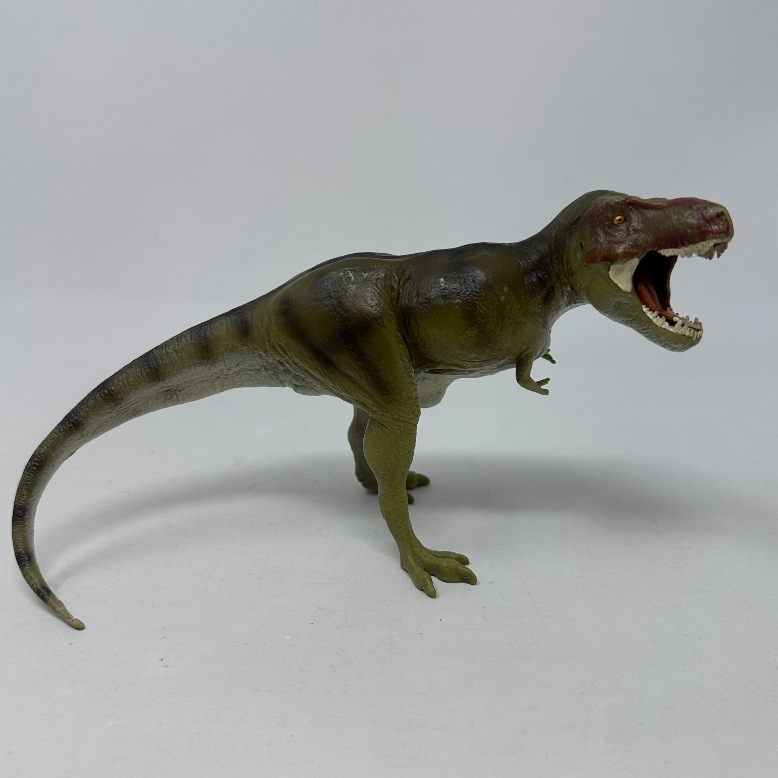 Safari Carnegie Tyrannosaurus T Rex Figure Prehistoric Dinosaur Animal 2014 READ