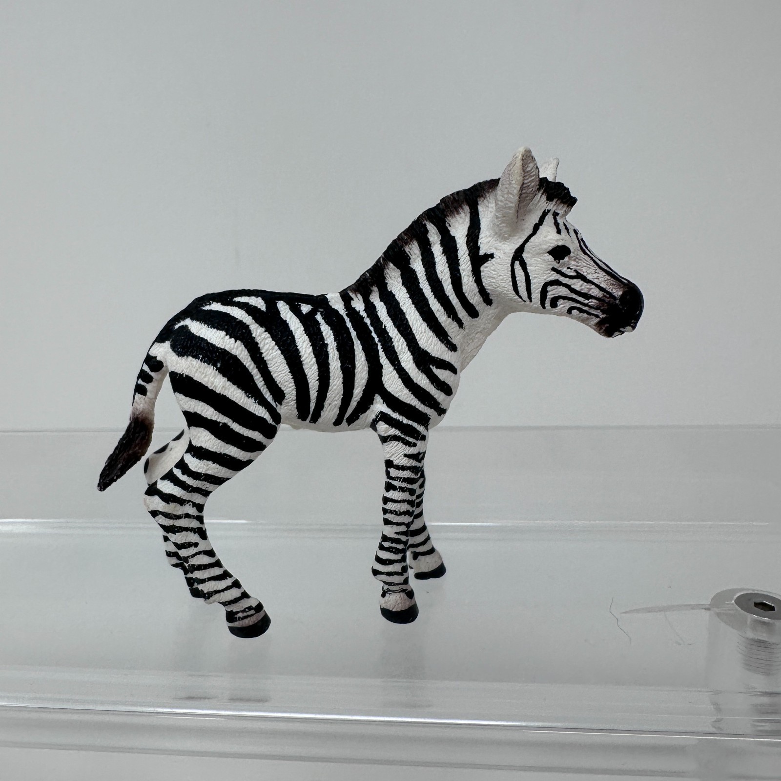 Schleich Zebra Foal Figure Black White Striped Baby Horse Animal Figurine 3″