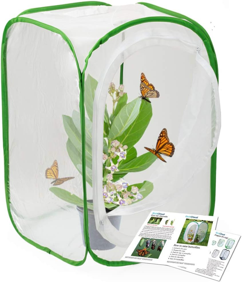 RESTCLOUD Insect and Butterfly Habitat Cage Terrarium Pop-Up 24 Inches Tall with