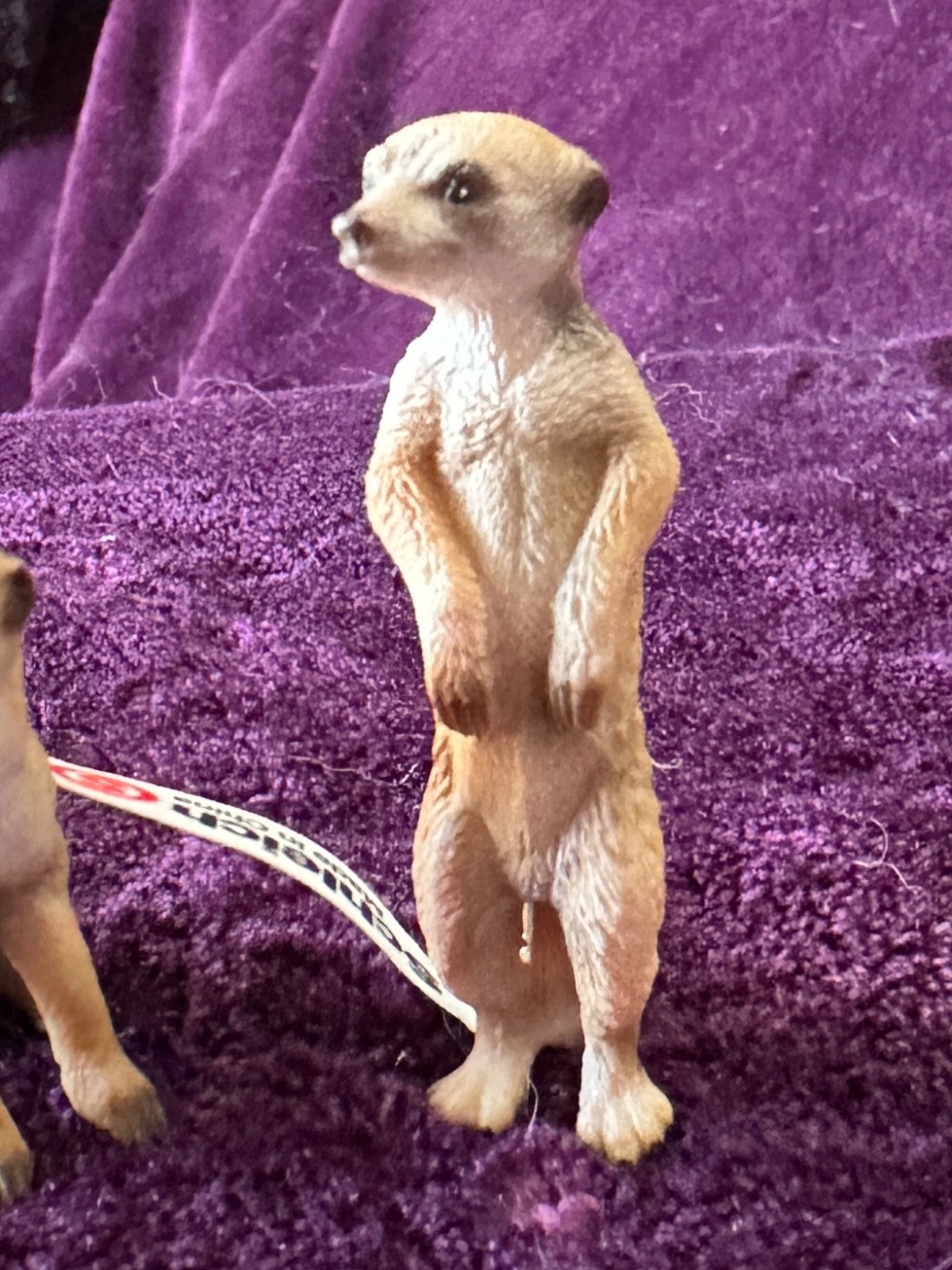Schleich & Papo Wildlife Lot – Bobcat, Lemur w/ Baby, Meerkats – Excellent Cndtn