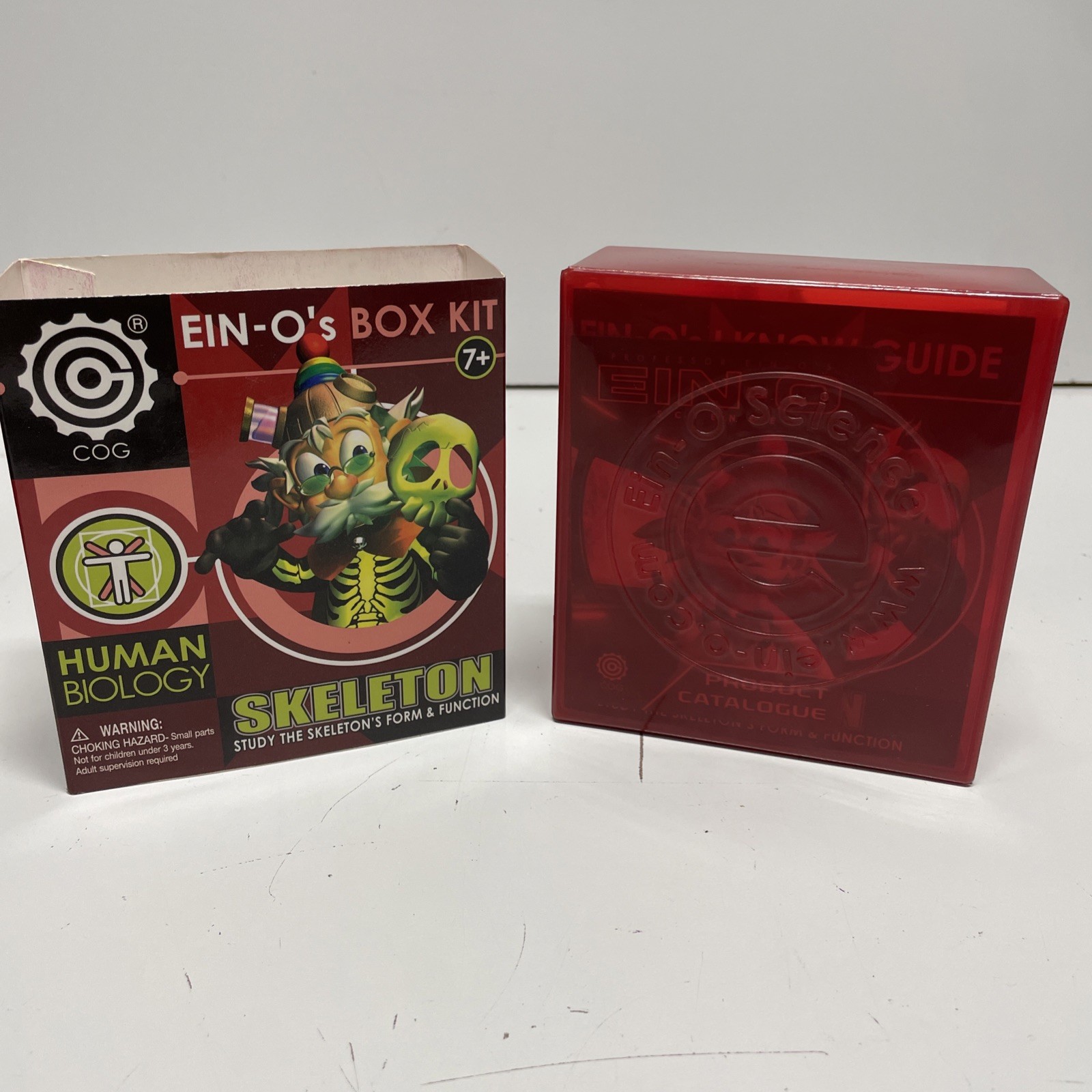 Ein-O’s – SKULL & SKELETON – Models of Human Skeleton – A STEM Science Toy