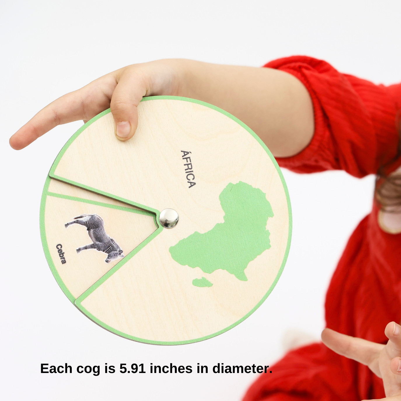 Animals of the World – Montessori Wooden Animal Wheels Set 7 Continents Ages 3+