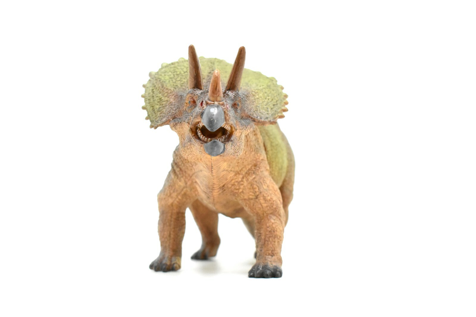 Triceratops Toy, Dinosaur Model, Realistic Plastic Replica, 14″ CWG157 BB33