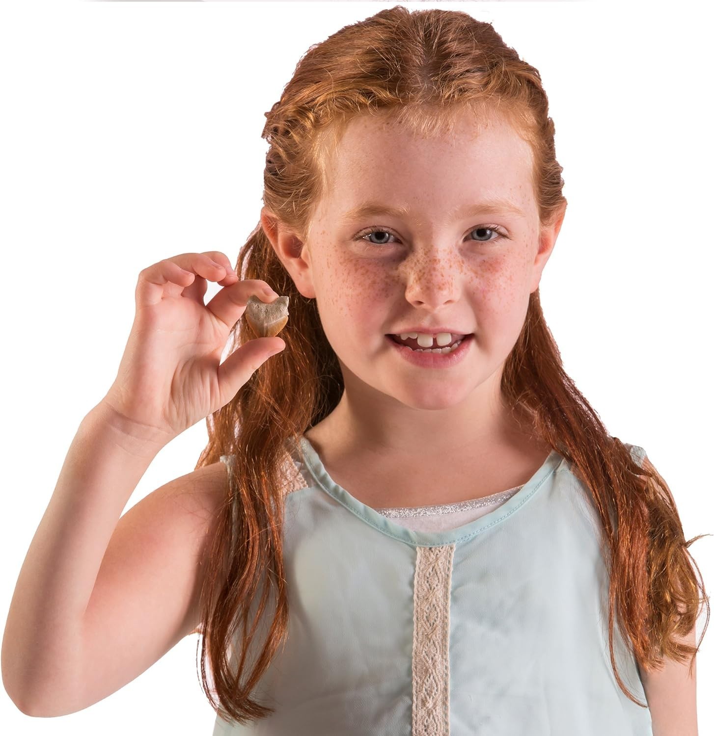 Discover with Dr. Cool Shark Tooth Dig Kit – Dig Up 3 Real Shark Teeth Fossils!