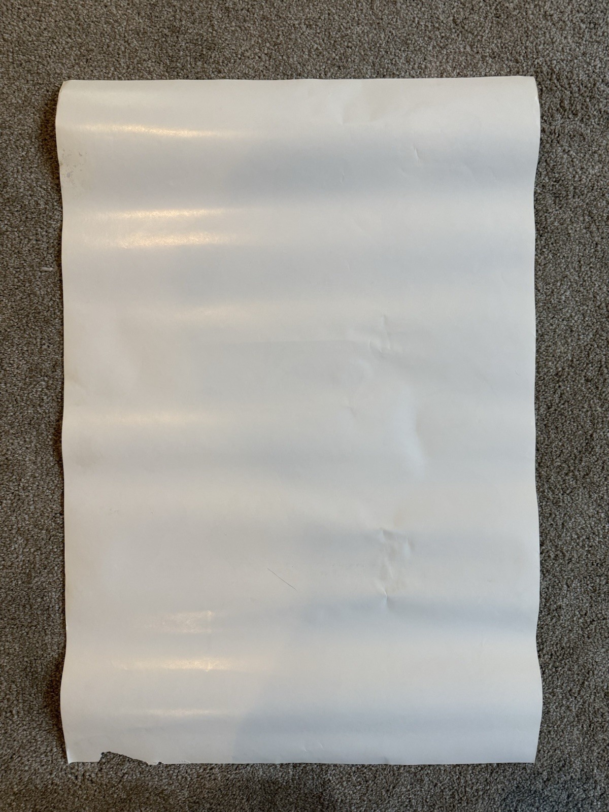 VTG Please Be Careful With The Future Animal Species Smokey The Bear Poster