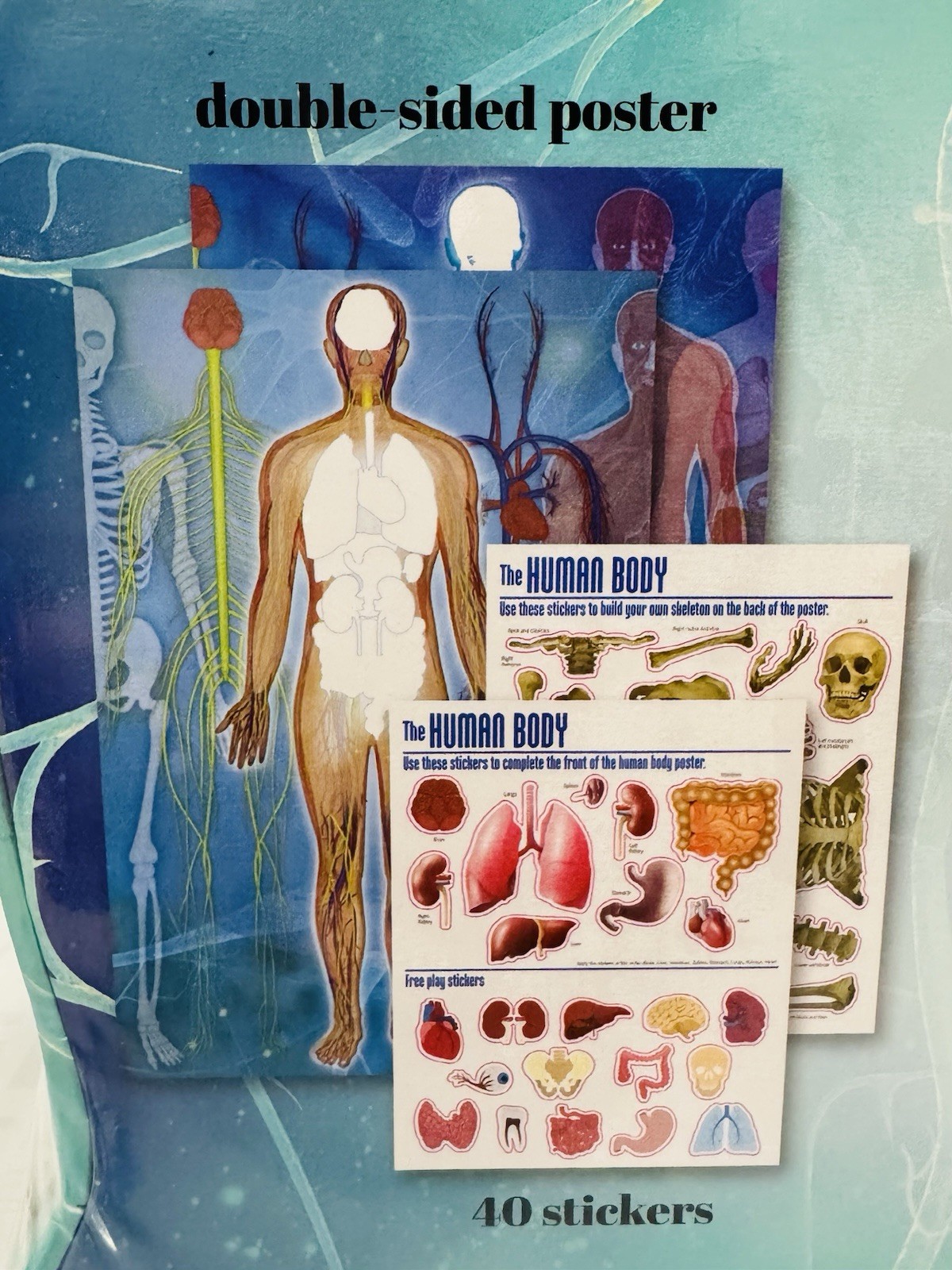 Adventures in Science: The Human Body Interactive Learning Kit 3D