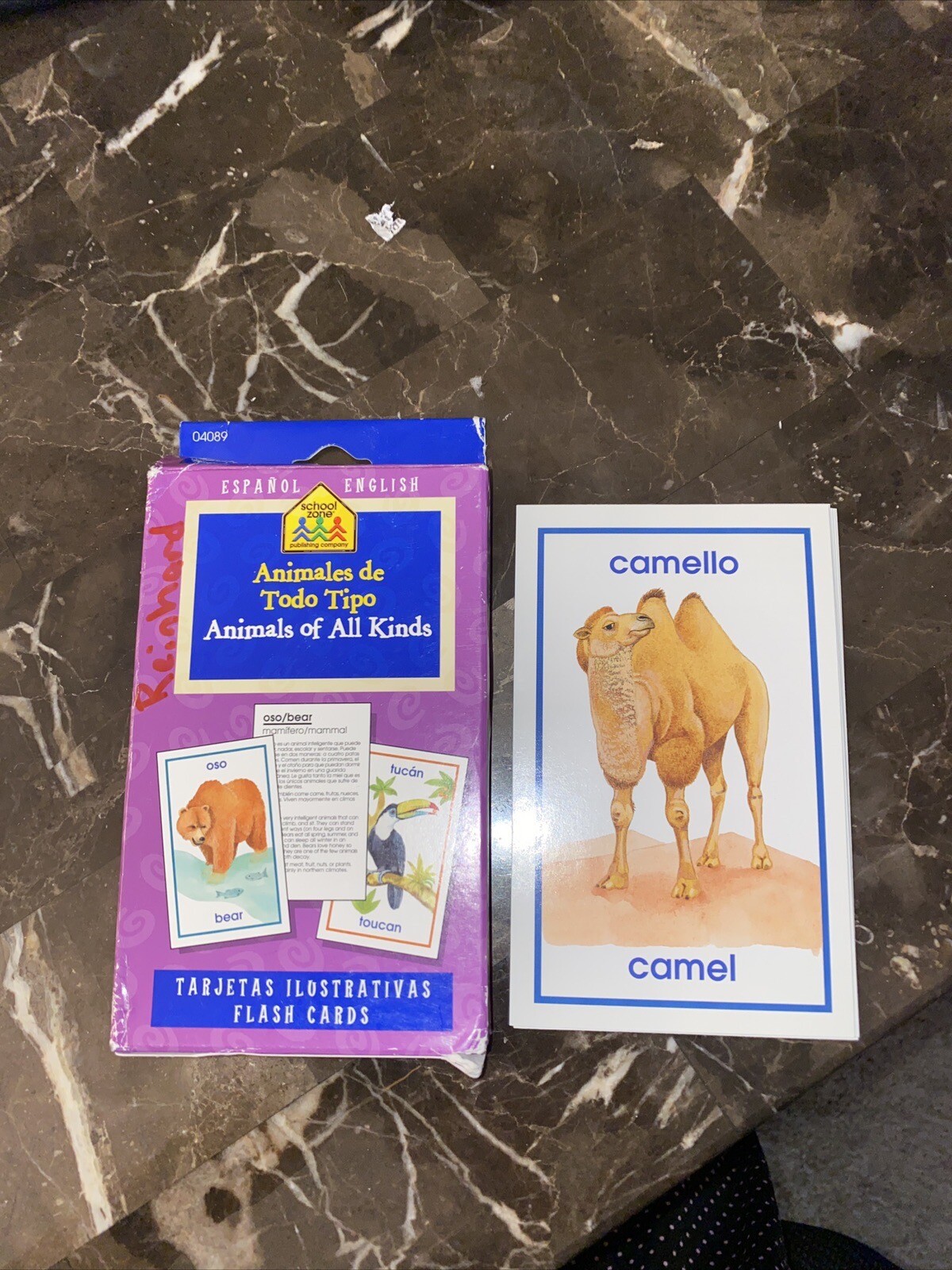 52 Flash Cards Animals Of All Kinds With Spanish Translation
