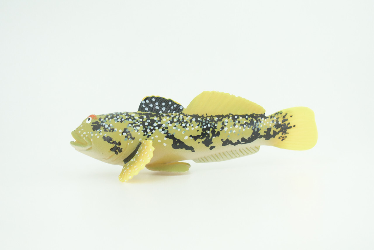 Lingcod Fish Toy, Realistic Hand Painted Rubber Fish Cod, Model 4.5″ CH787 BB185