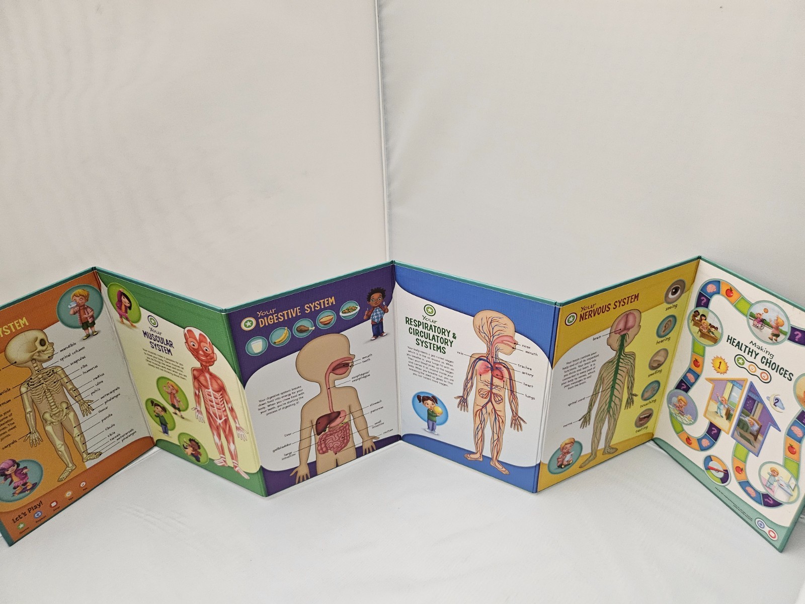 LeapFrog LeapReader System Book Bundle