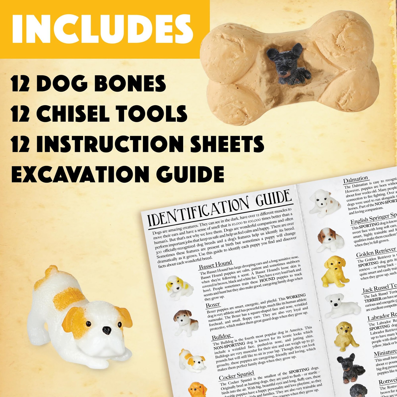 Dig it Up! Puppies Excavation Kit – Educational Toys for 4 and Up – Dig Kit w…