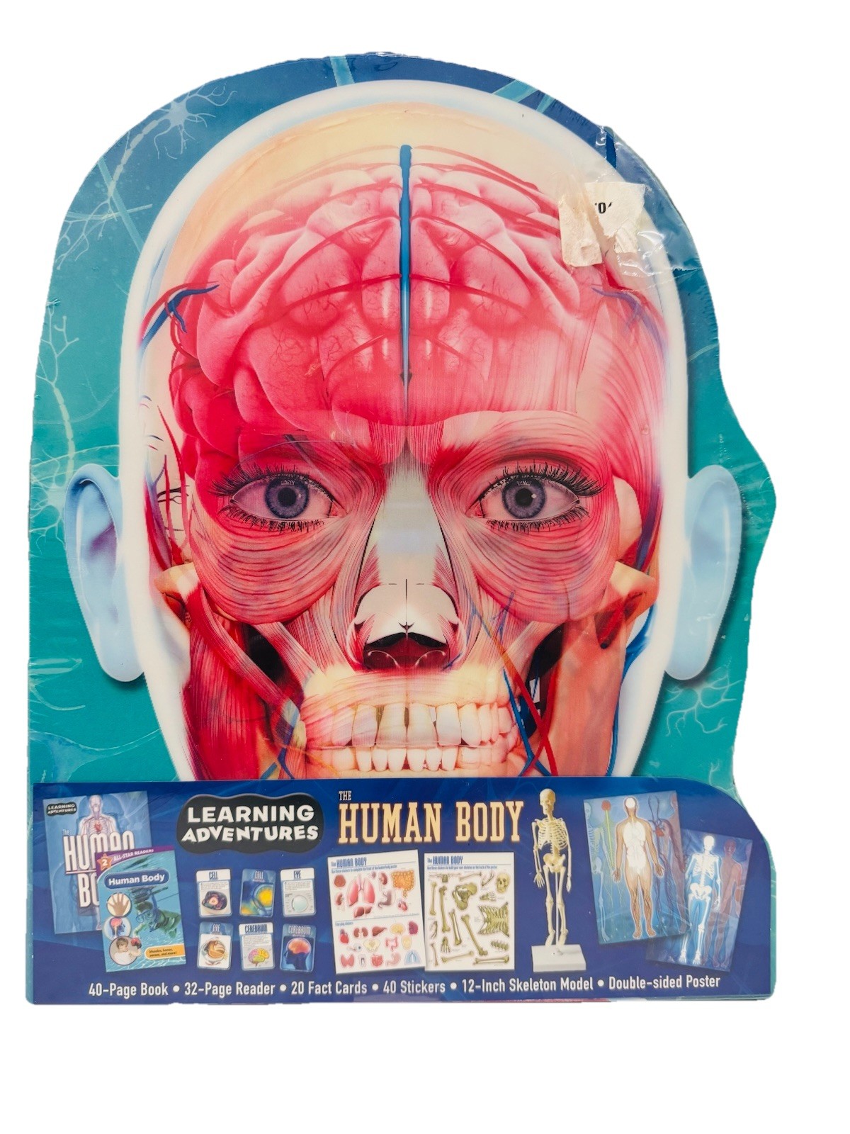 Adventures in Science: The Human Body Interactive Learning Kit 3D