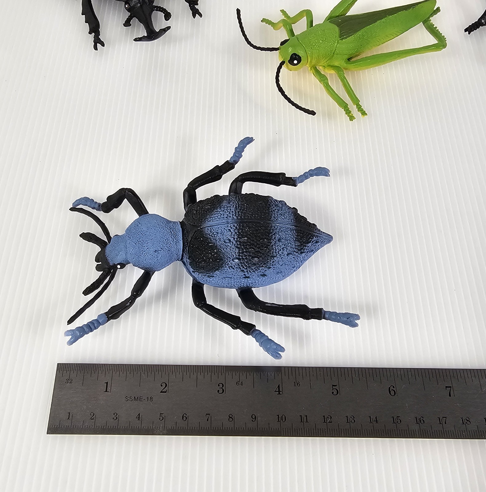 4 Large Bugs Collection, Grasshopper, Beetles