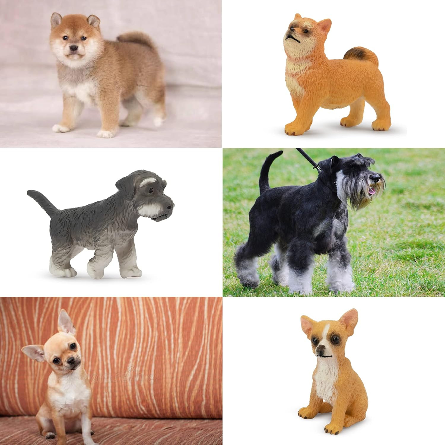 12PCS Mini Dog Figurines Toy Set, Realistic Detailed Plastic Puppy Figures Plays