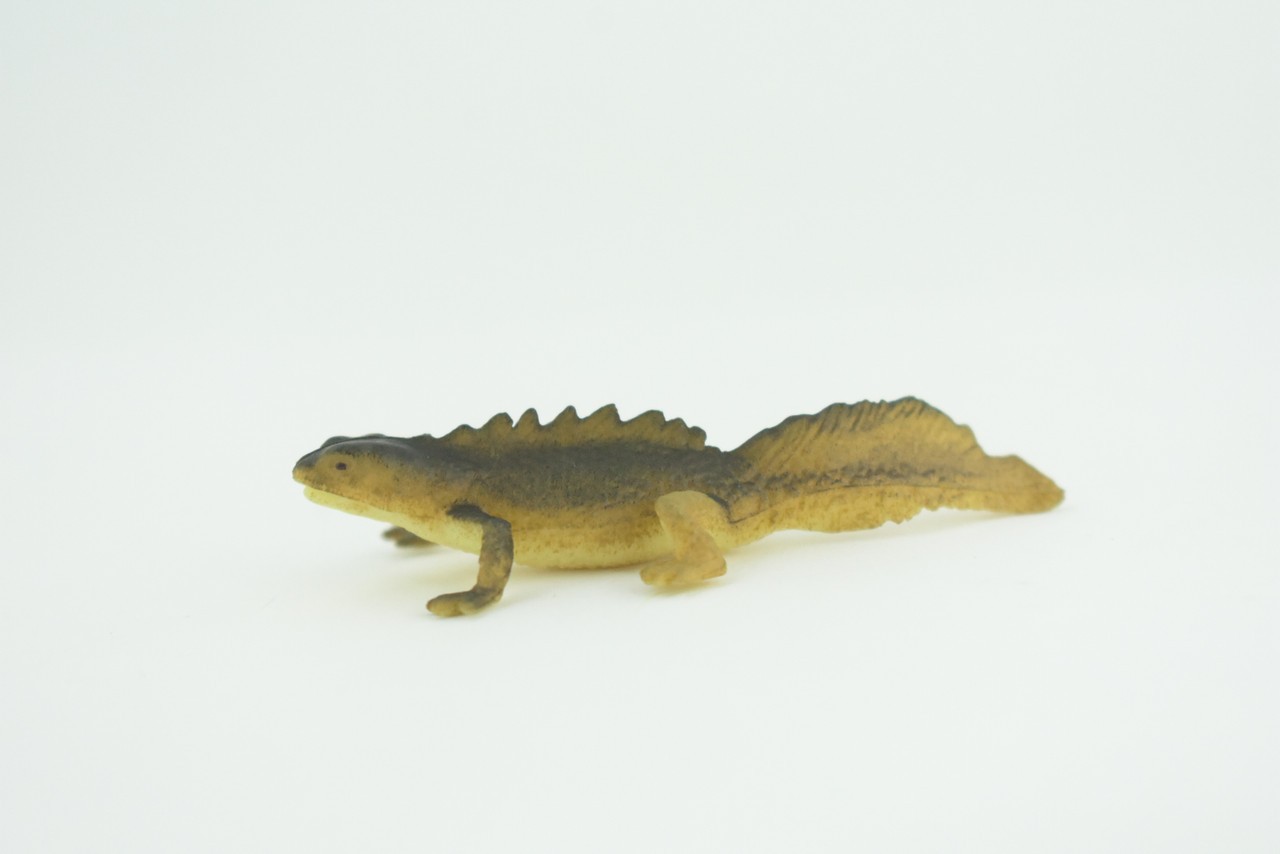 Toy Water Dragon, Sailfin Lizard, Realistic Hand Painted Rubber, 2″ WR48 B197