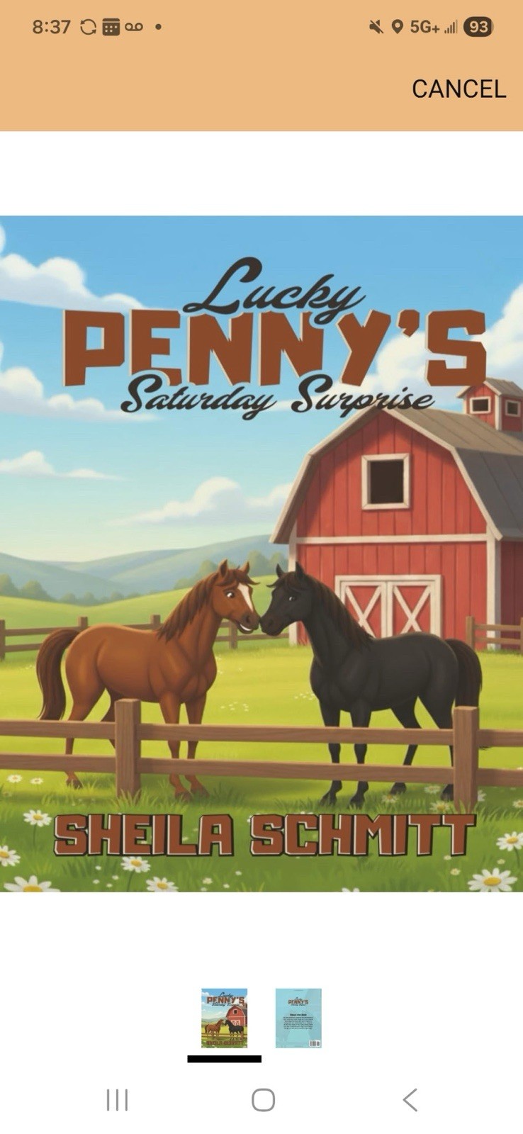 Lucky Penny’s Saturday Surprise Picture Book By Sheila Schmitt