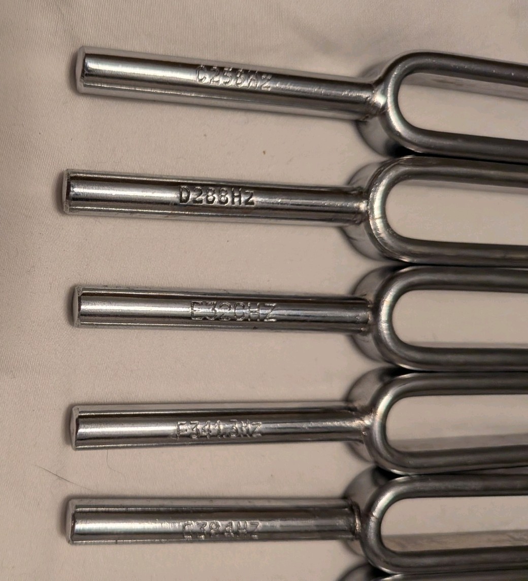 Eisco Scientific Steel Tuning Forks, Set of 8 PH0738ALT