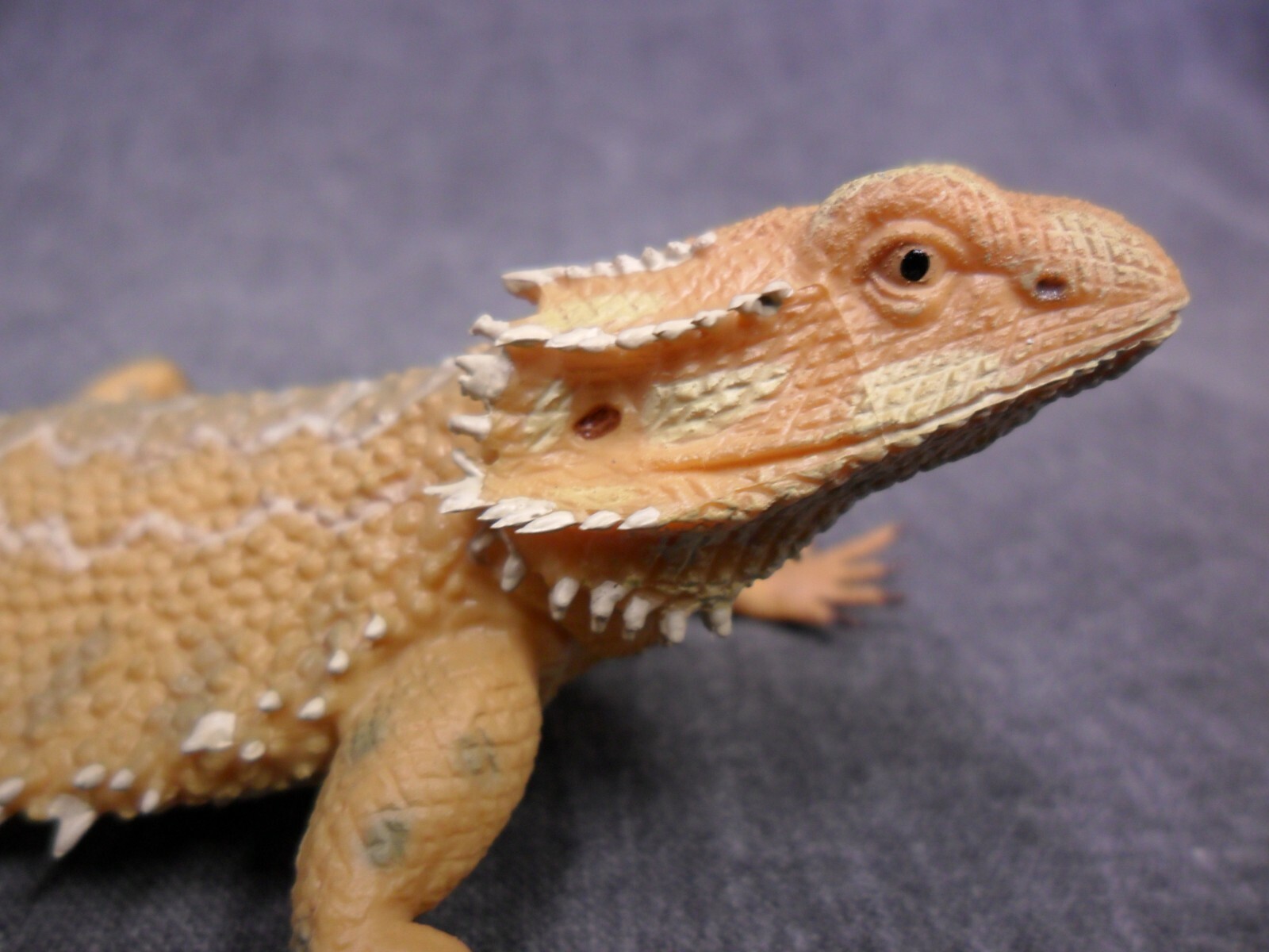 CollectA NIP * Bearded Dragon Lizard * 88567 Wildlife Pogona Model Toy Figurine