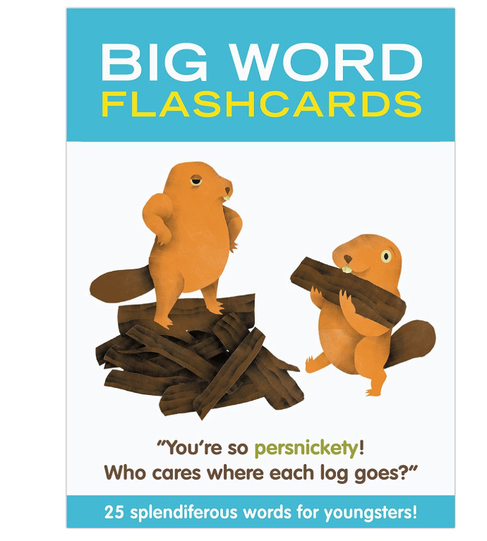 Big Word Flashcards Language Introduction Practice Cards Sealed NIB
