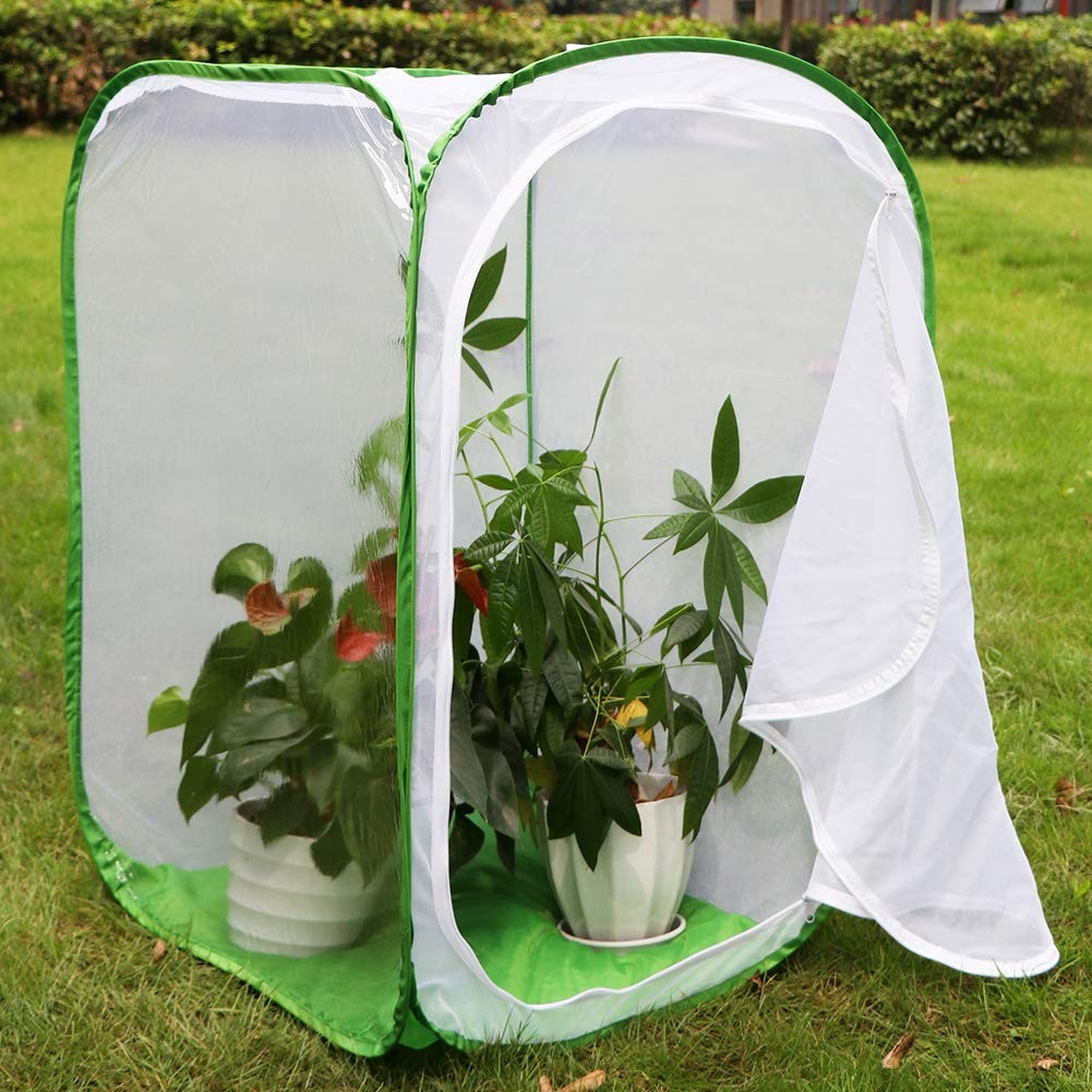 RESTCLOUD 36″ Large Monarch Butterfly 24 x 24 x 36 inches, White with Green